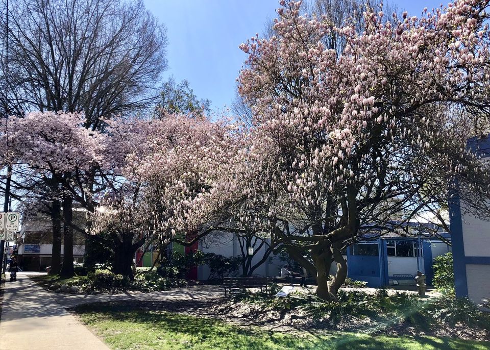Vancouver Community Centre receives funding for upgrades - Mechanical ...